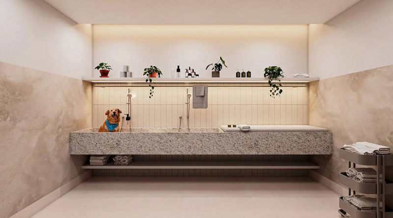 Oliie 117 Pinheiros - Pet Wash